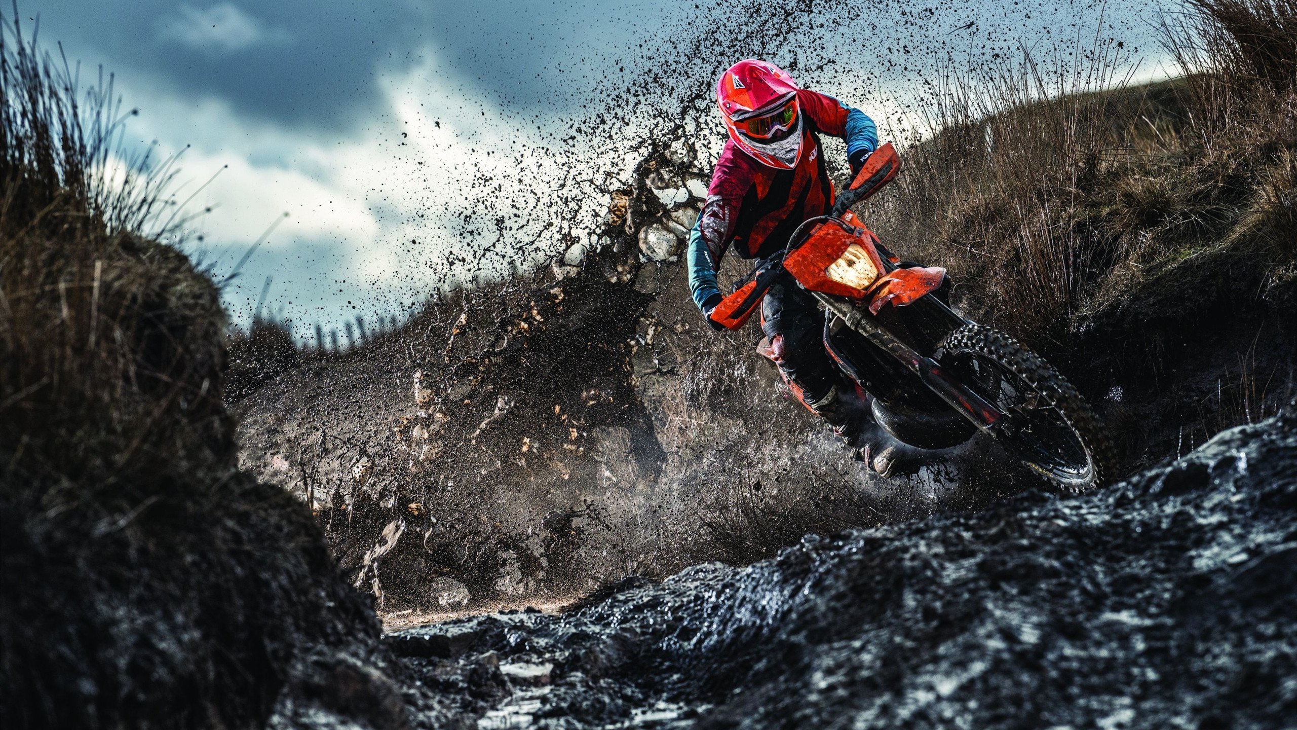 冰与火之歌，太阳熔炉逆转鹈鹕，字母寒流席卷骑士